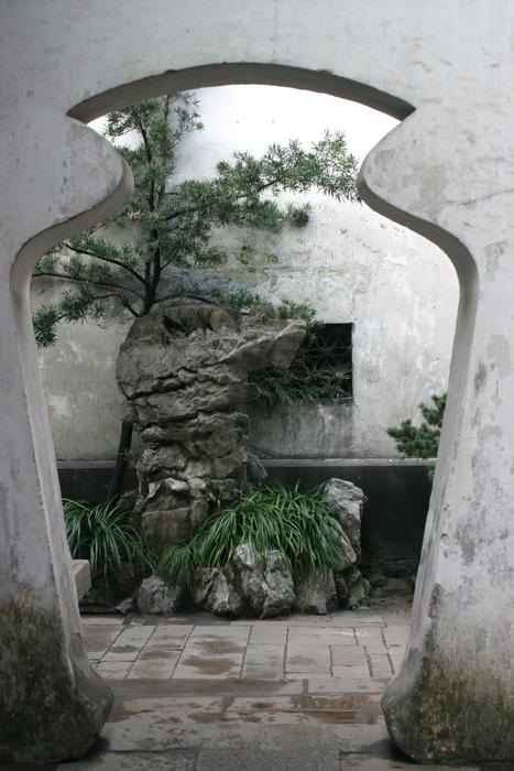 China Bonsai
