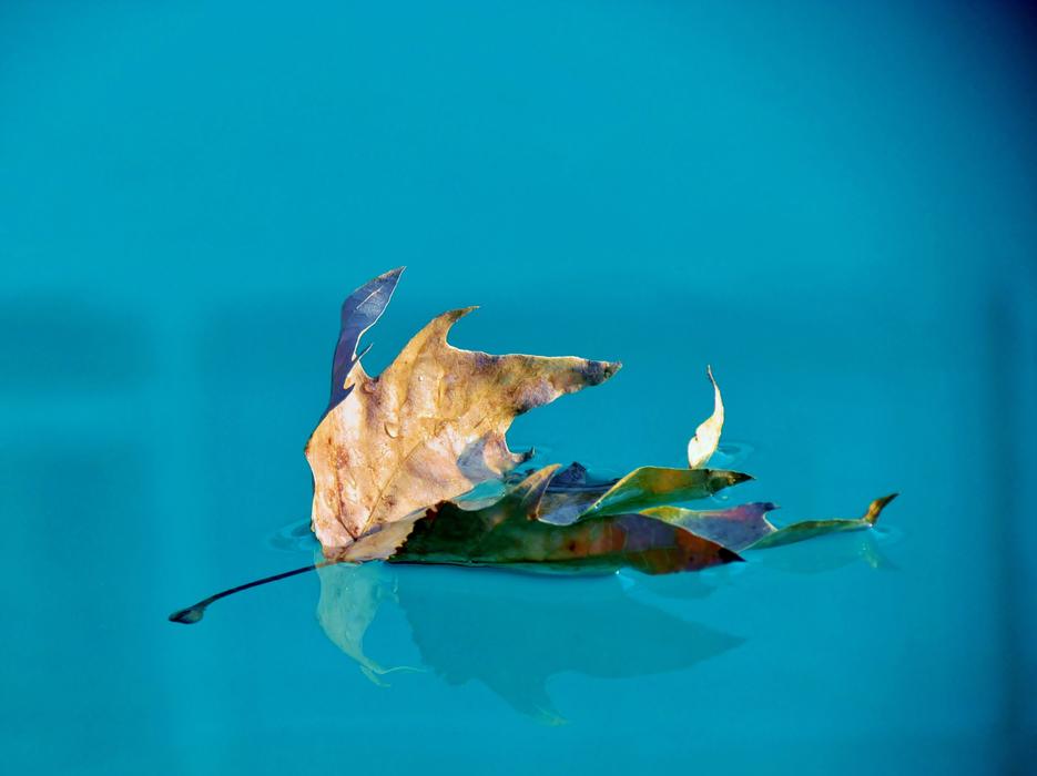 Water Pool Blue