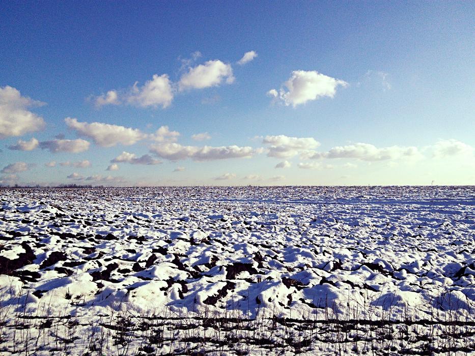 field covered with snow