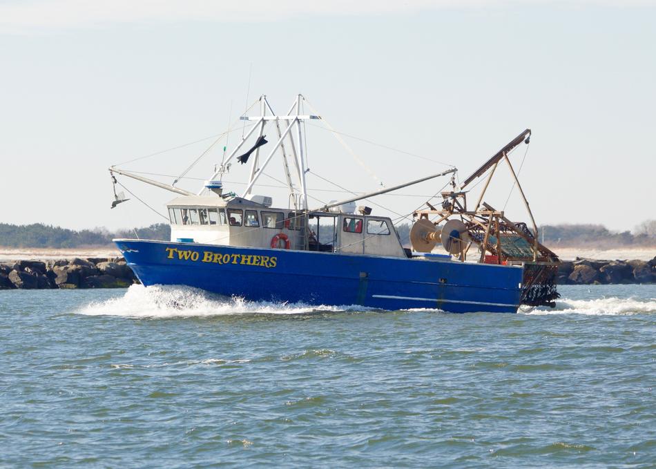 Boat Fishing