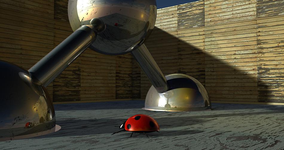 balls beetle ladybug art