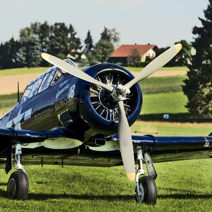 black plane on the takeoff field