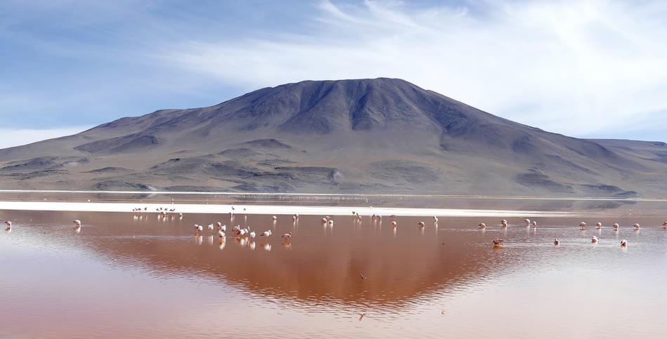 Laguna Colorada