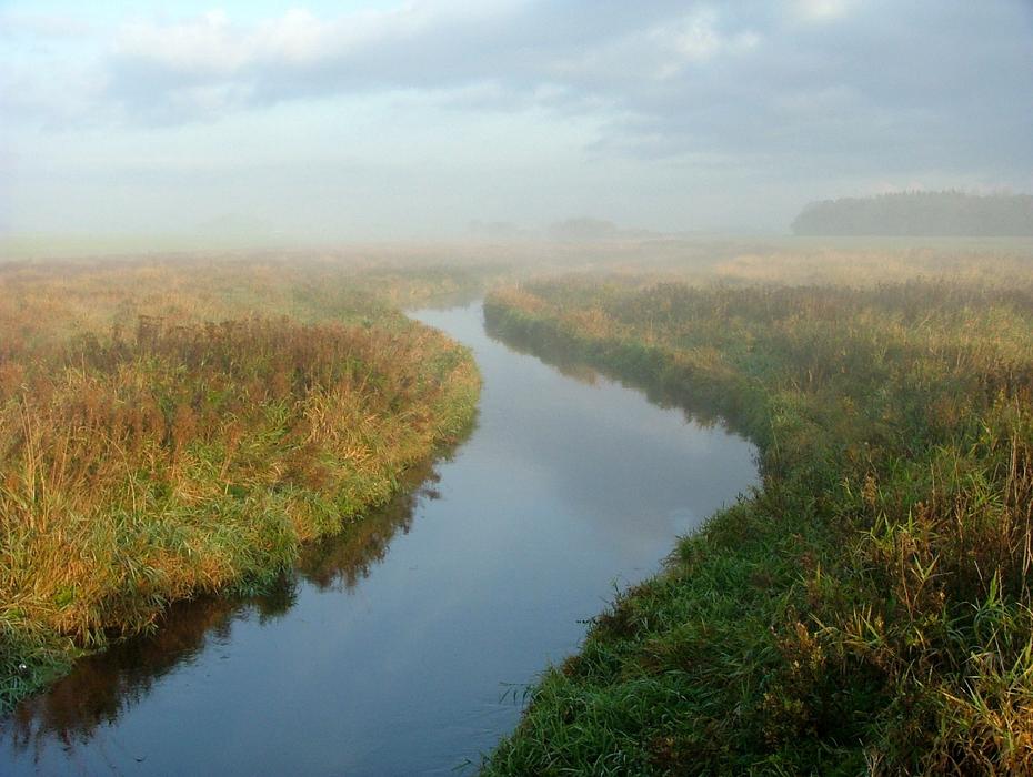 river with herbs landscape