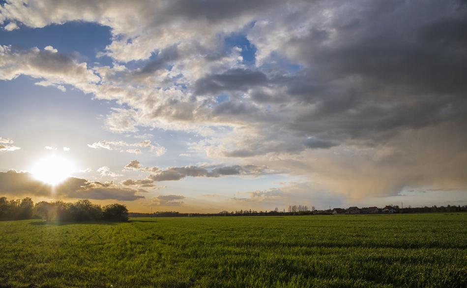 Sierpc Poland Meadow