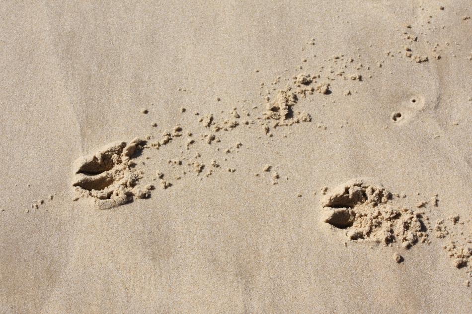 footprints on the warm sand