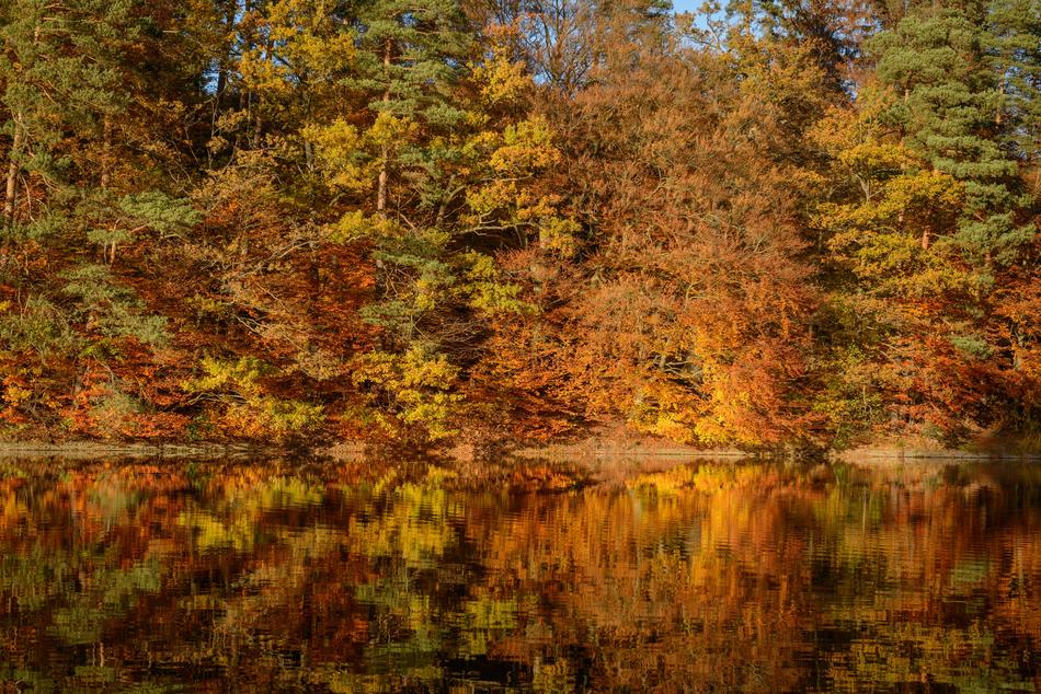 Fall Foliage Lake Mirroring