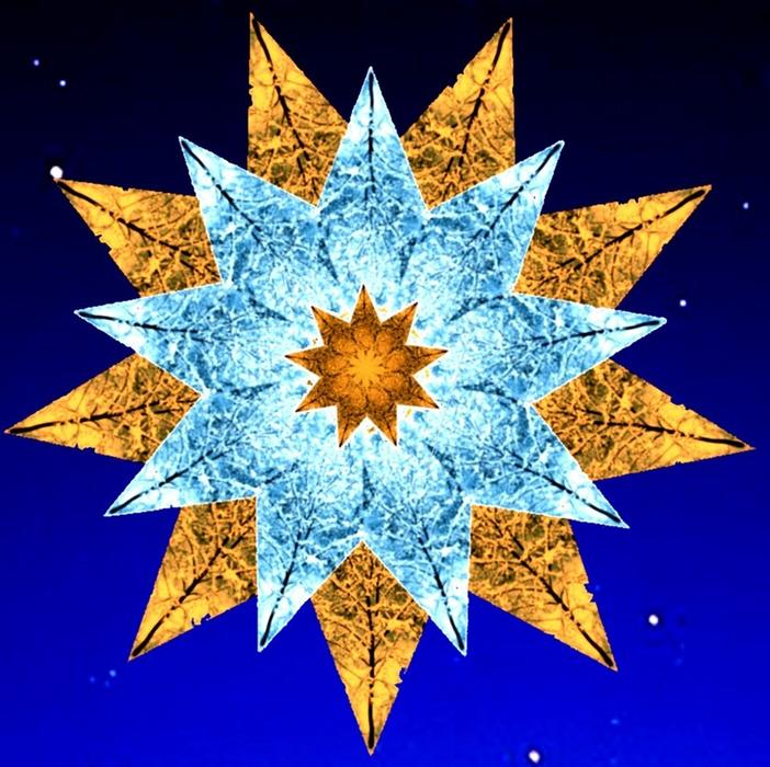 star christmas advent poinsettia