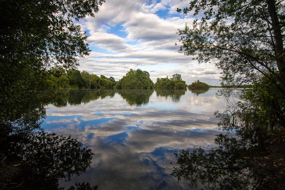 Lake Trees Water