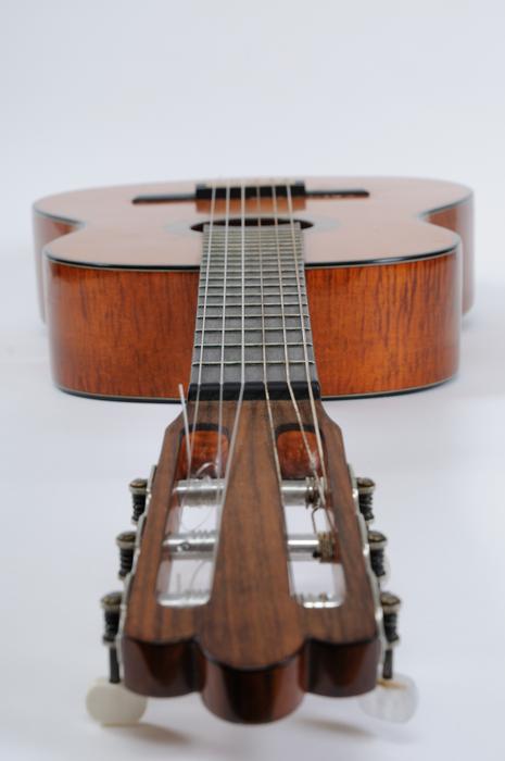 Acoustic Guitar laying flat head front