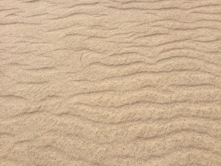 sandy beach by the sea