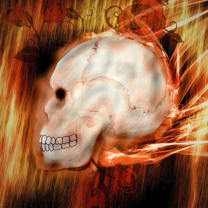 skull on a wooden background