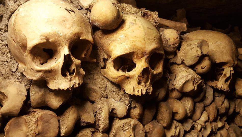 old skulls in the wall