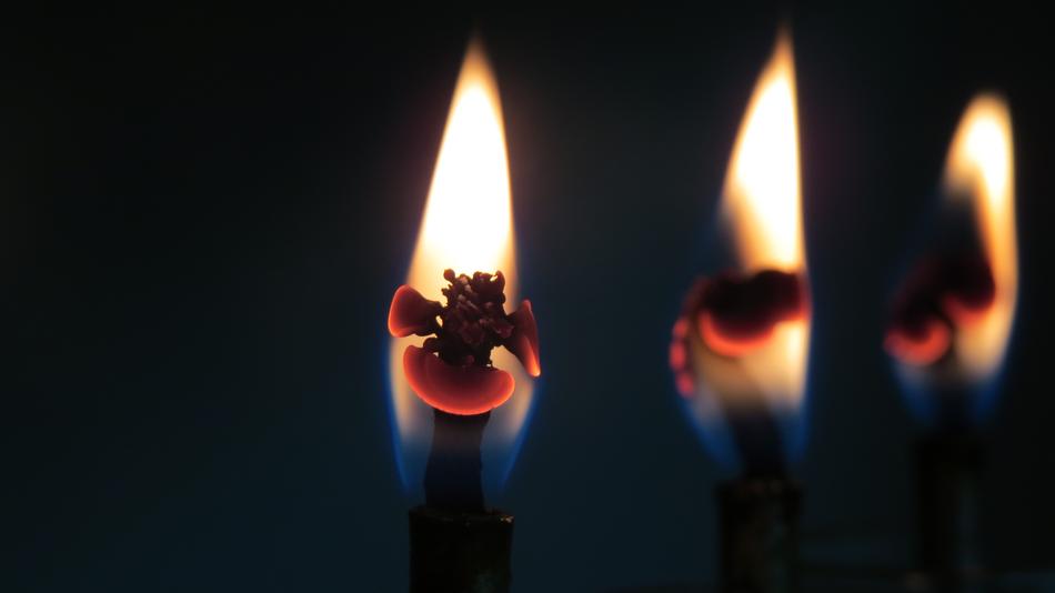 Candles Fire