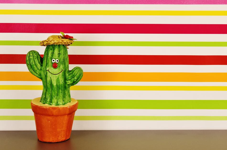 Cactus Figure Funny