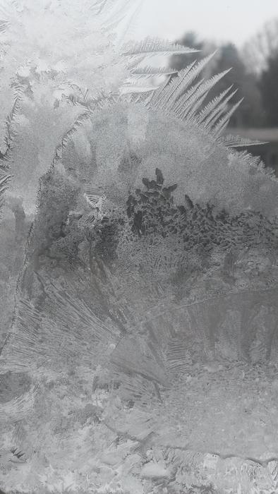 Hardest Window Frosty