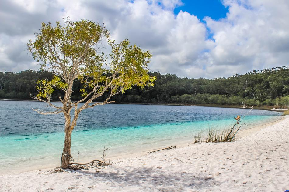 Beach Dock Fraser Island