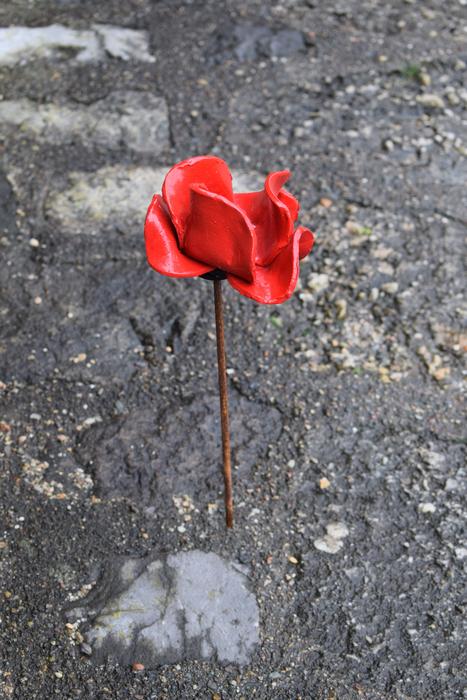 red rose on the pavement