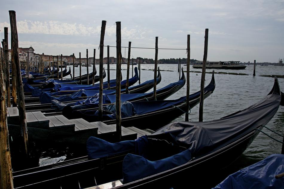 Venezia Venice Summer