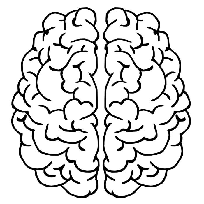 Brain pattern image