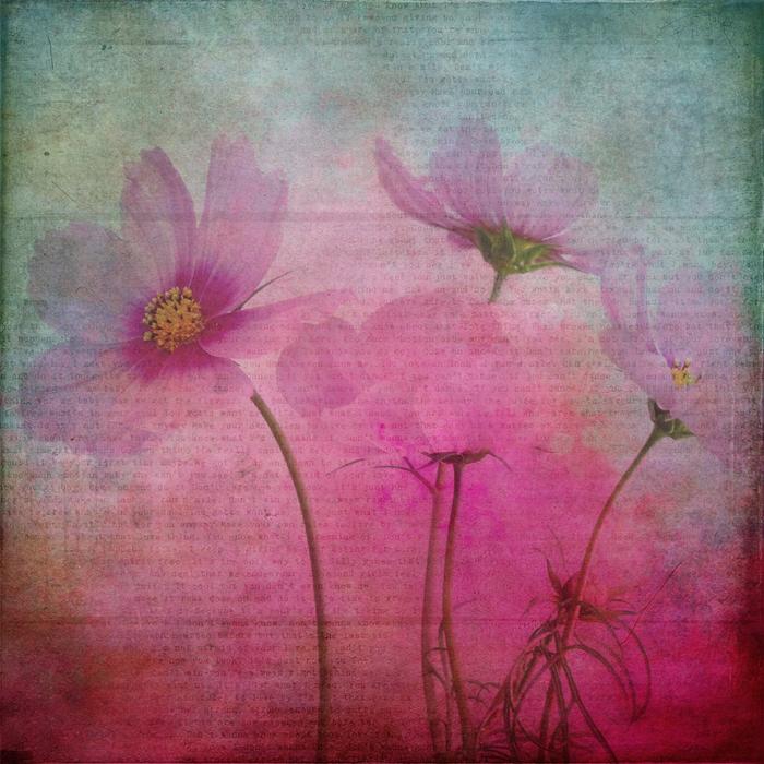 texture background flowers pink drawing