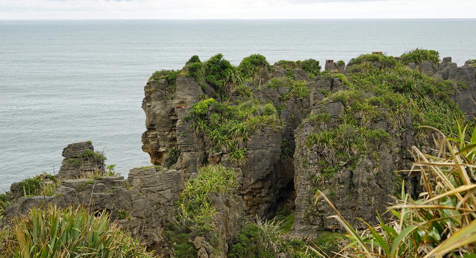 cliffs with trees by the sea