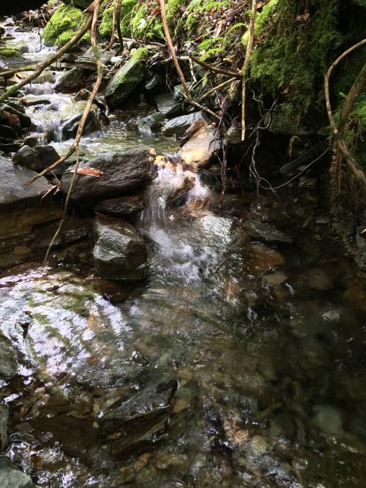 Stream Rocks Water