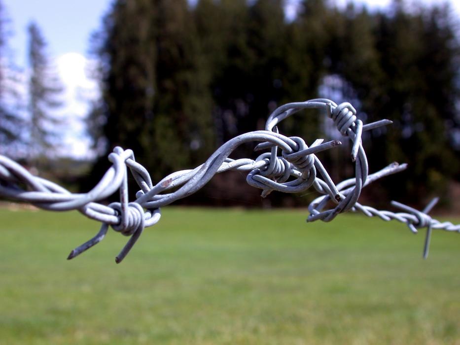 iron barbed wire