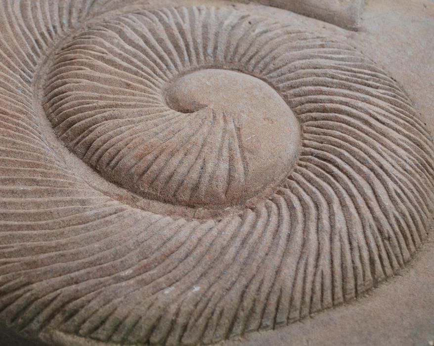 sand spiral pattern