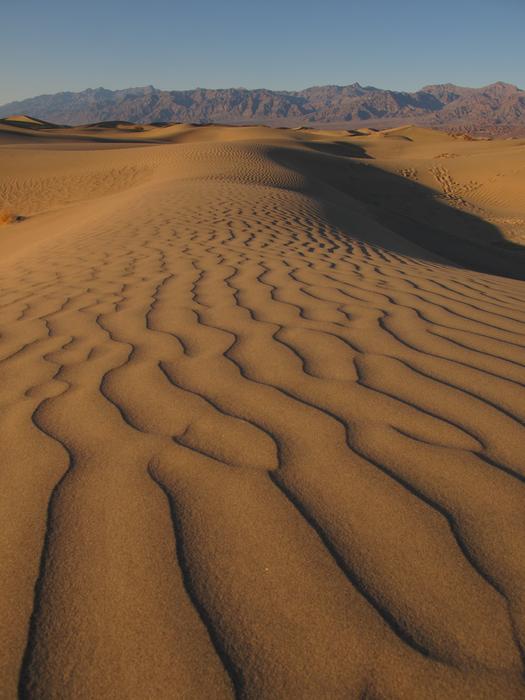 Desert Dune