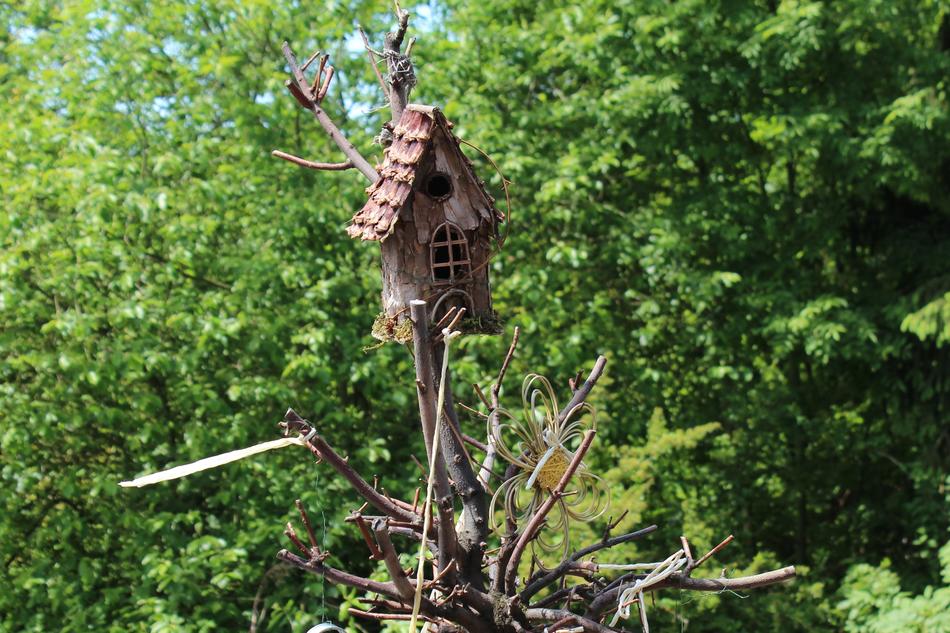 wooden treehouse