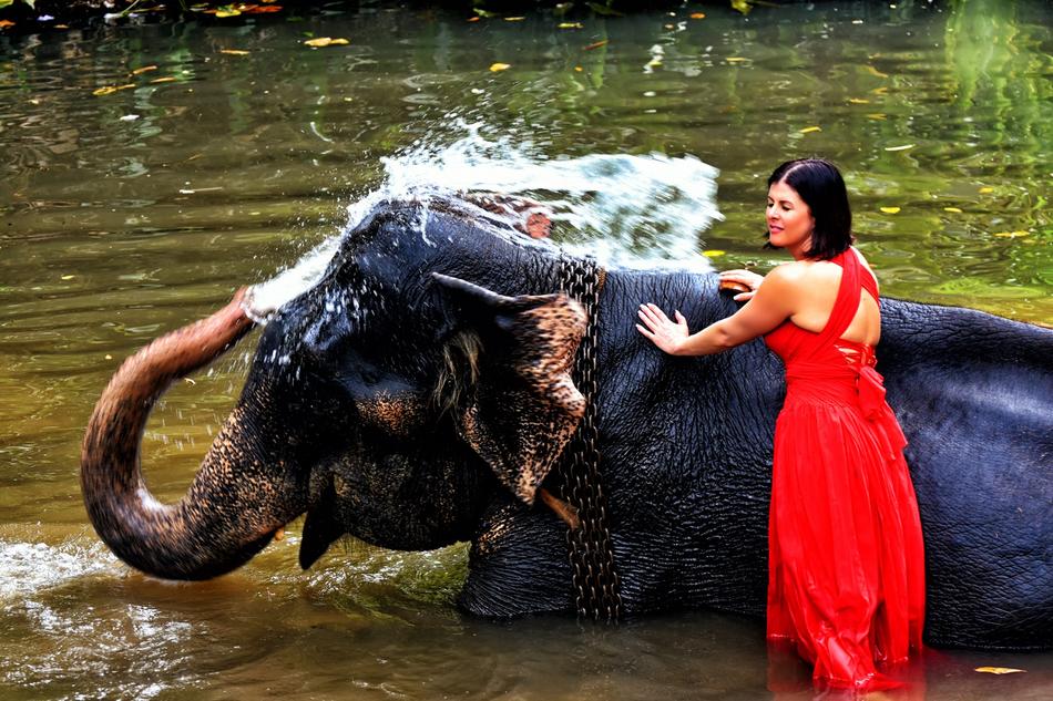Elephant Woman