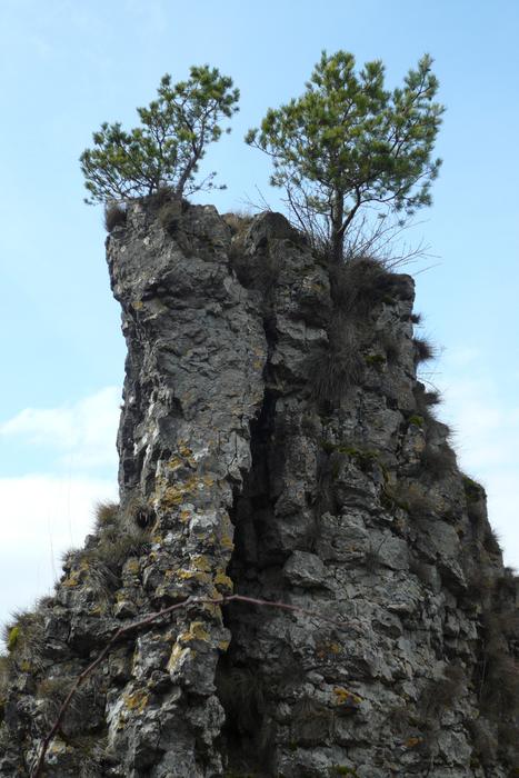 a large rock with one tree against the sky