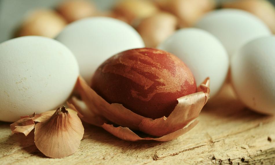 Egg Easter Onion Skins Dye