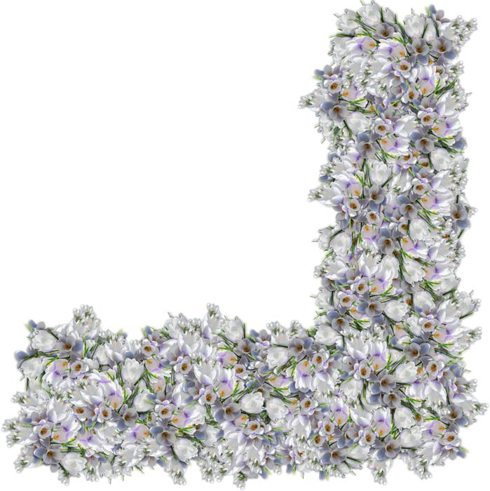 flowers png corner clipping scrap