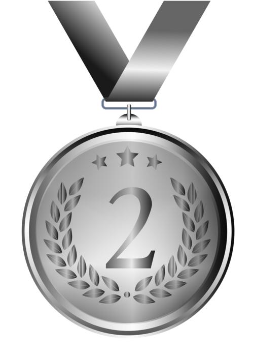 medal silver design