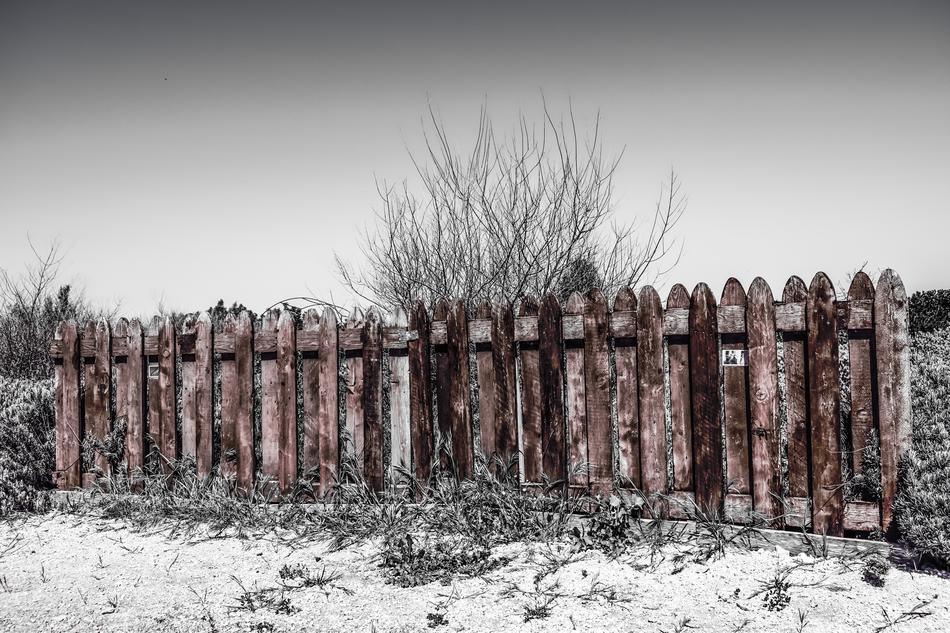 Fence Wooden Brown