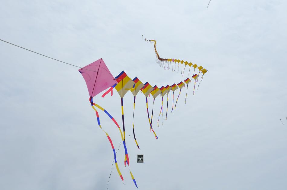 Kite Sky Feast New Year'S