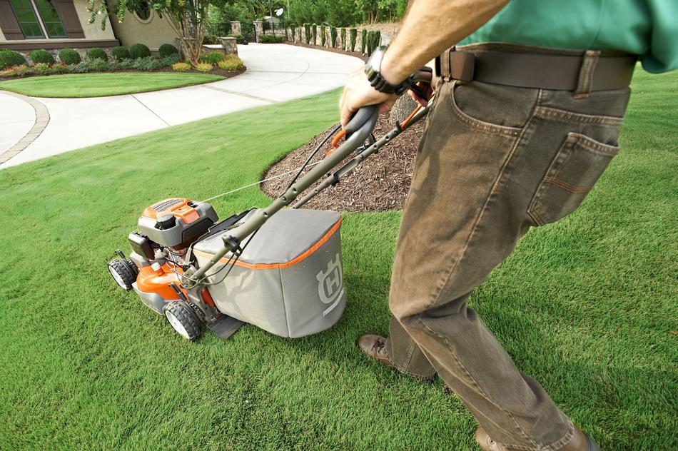 Garden Shop Grass Home