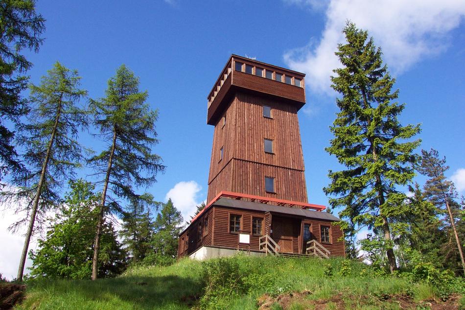 wooden tower in the forest