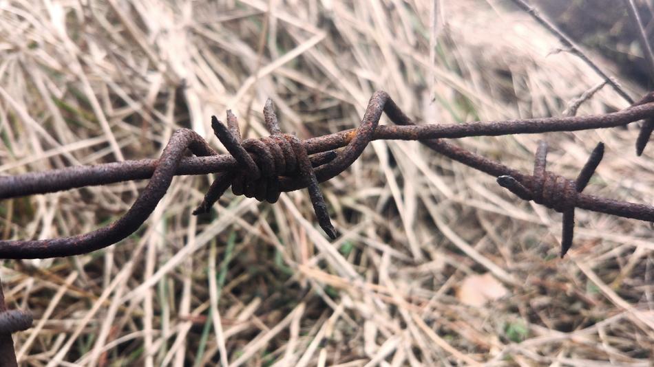 Barbed Wire Macro