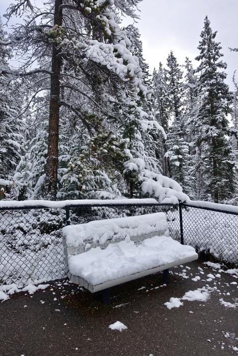 Seat Snow Bench