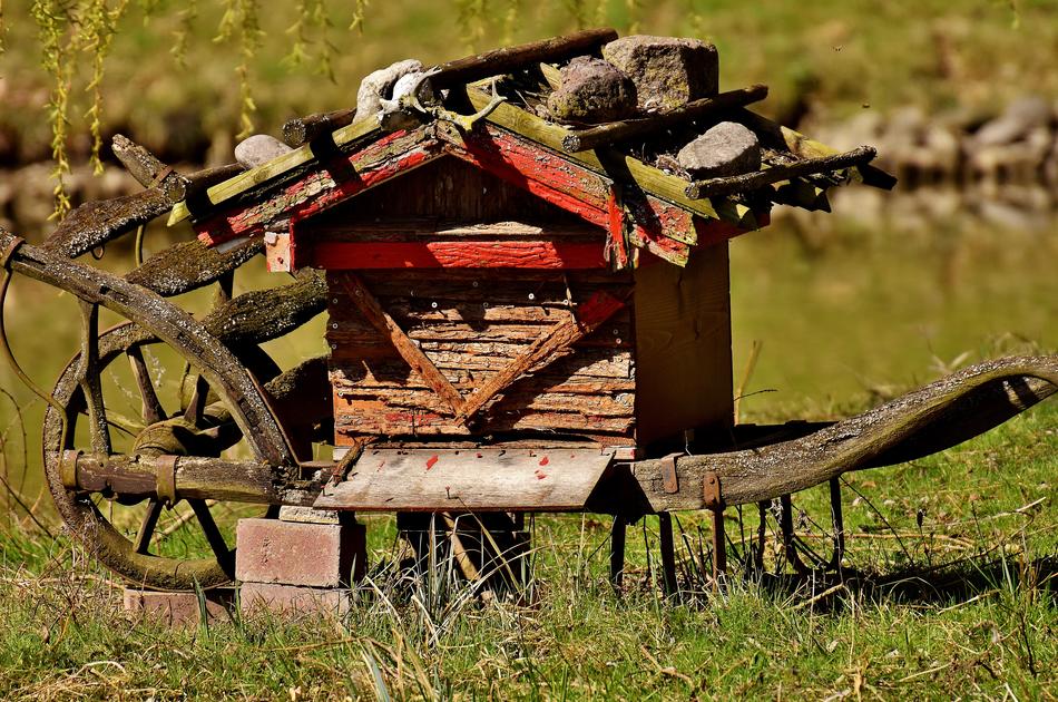 Beehive Bees Wood