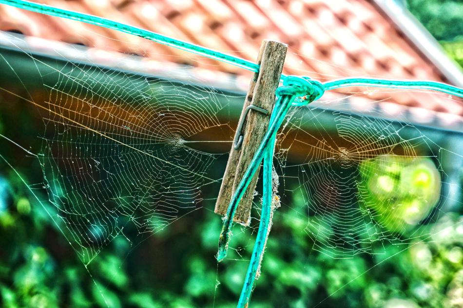 Spider Webs Clothes Peg Time