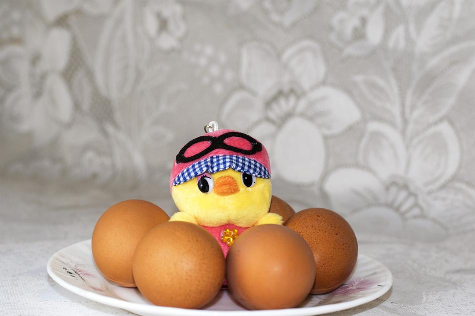 Easter Eggs Chicken