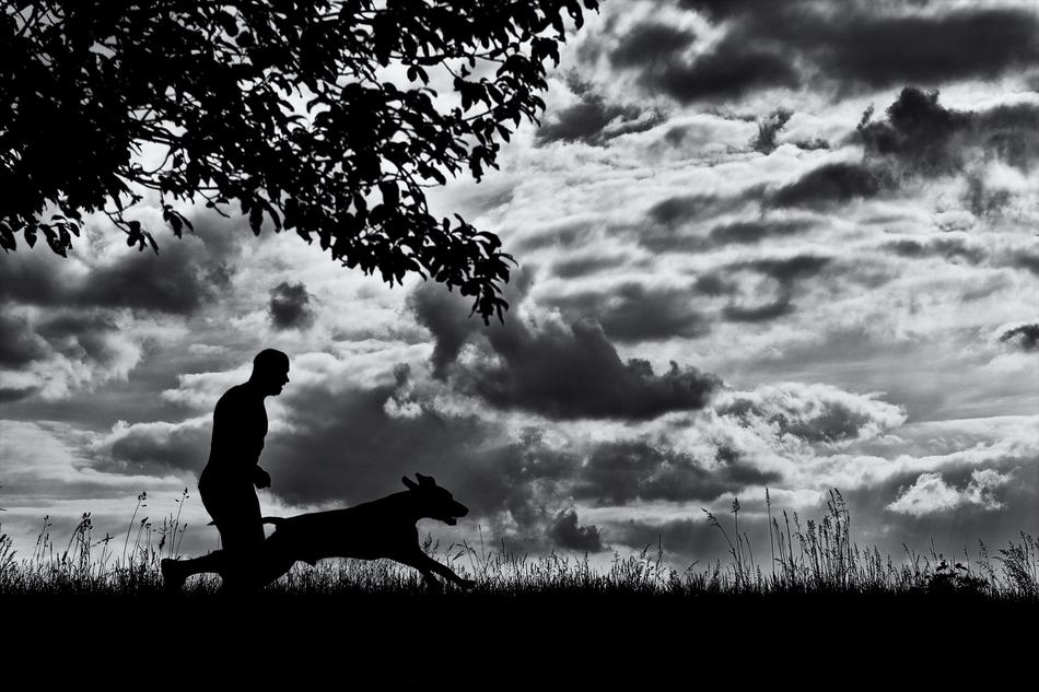 Running Dog Man And
