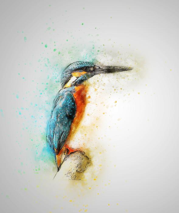 goodly Bird Feathers