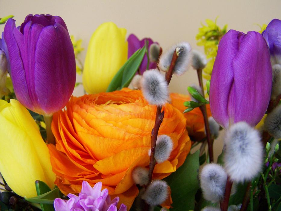 Bunch Of Flowers Color Cut