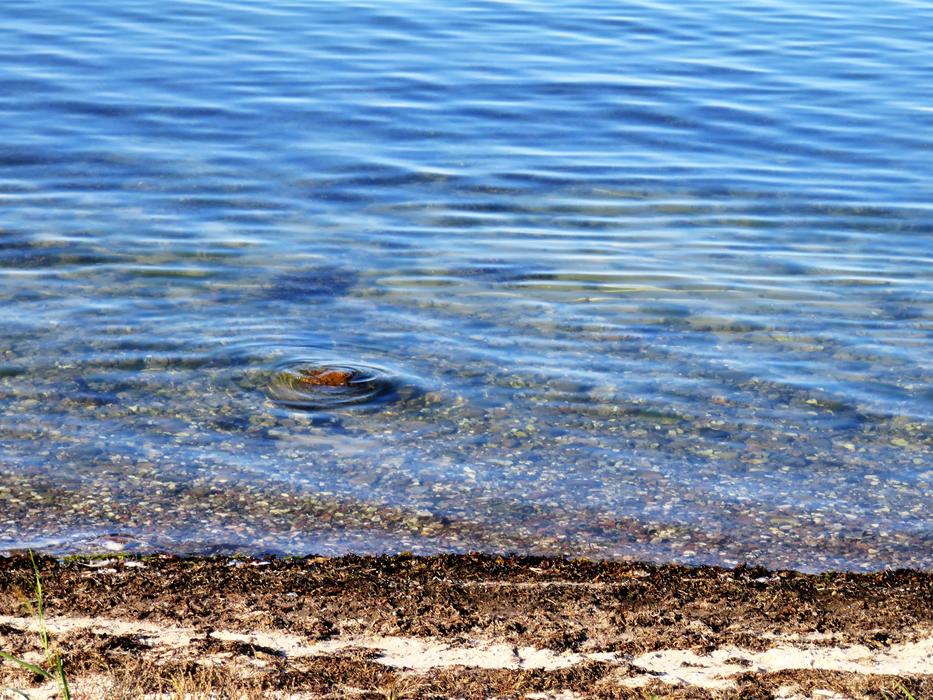Sea Lake Water