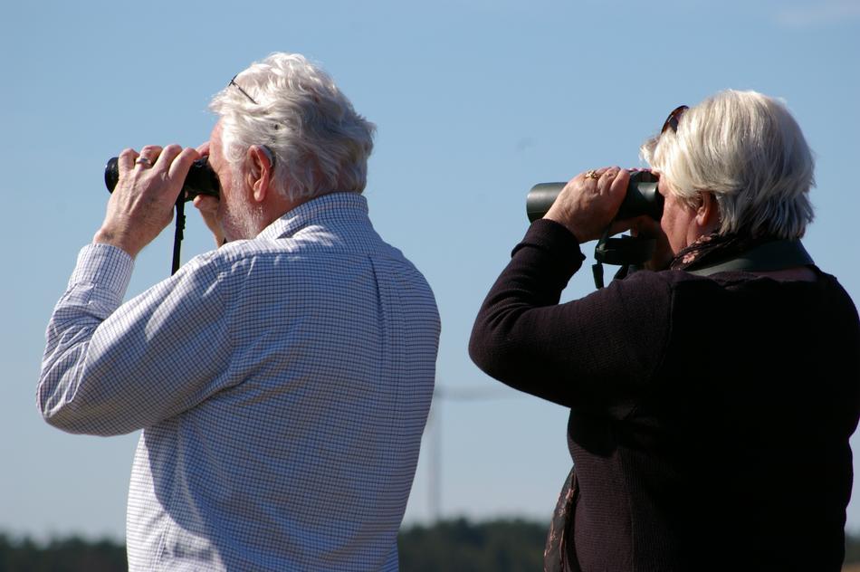 Binoculars Curious Couple